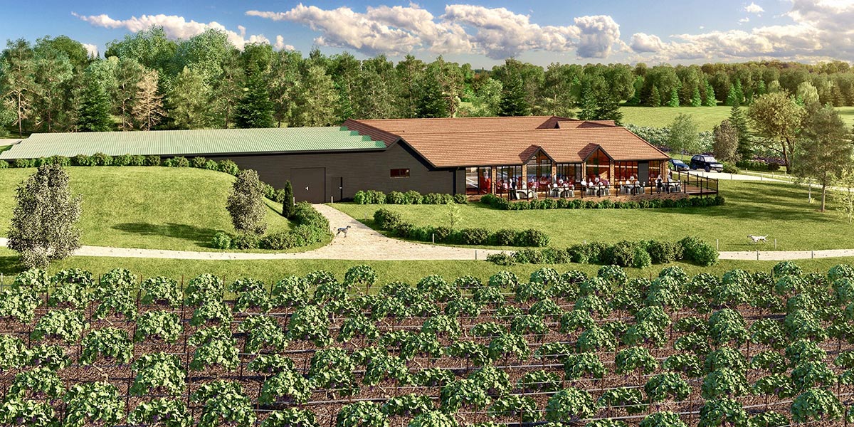 Vineyard 3d rendering in england